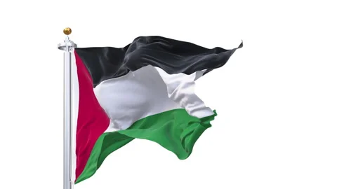 Palestine flag waving looping with transparent background. Stock Footage 336420951