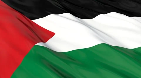 Palestine flag waving. Seamless Video stock 48685673