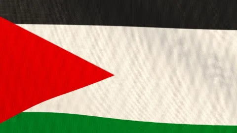 Palestine flag waving white background loop 動画素材 342963487