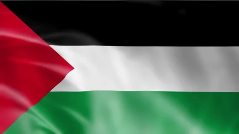 Palestine flag waving in wind animation isolated on black background Stock Footage 322183196