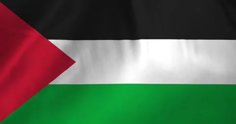 Palestine flag waving with the wind background loop video animation Vídeos de archivo 327173296