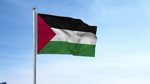 Palestine flag waving in the wind with blue sky background Stock Footage 314434436