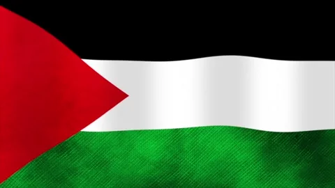 Palestine flag waving in the wind with fabric texture Stock-Footage 330850899