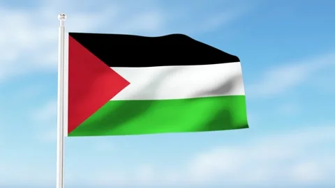 Palestine flag waving in the wind. 스톡 동영상 297345433