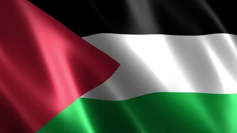 Palestine flag waving in the wind Stock-Footage 348691130
