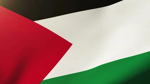 Palestine flag waving in the wind. Looping sun rises style.  Animation loop Video stock 48591853