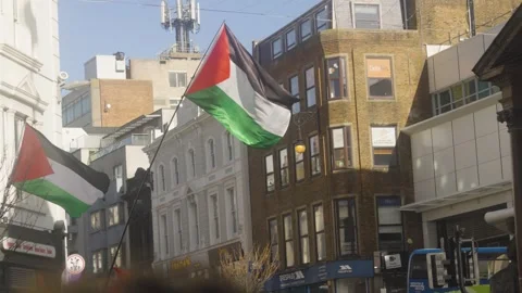 Palestine Flags at Protest Blowing in Wind with Buildings and Buses in Busy Stock Footage 320660628