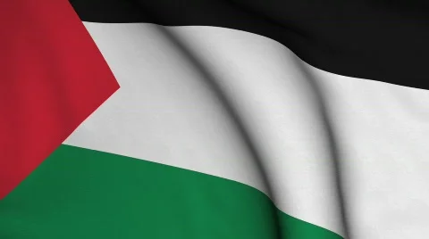 Palestine Stock Footage 355439