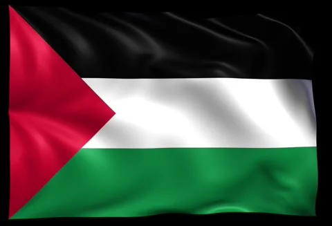 Palestine Stock Footage 306510657