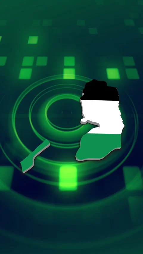 Palestine Map and Flag Background Video stock 347126267