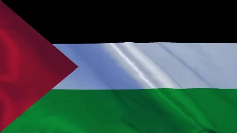Palestine National Waving Flag, Motion Animation of Palestine National Flag Video stock 304570898