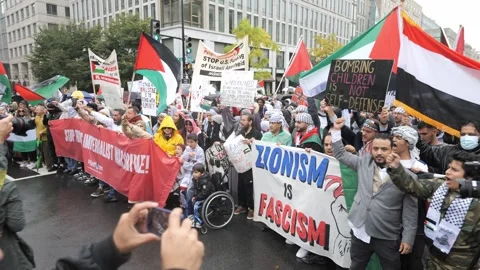 Palestine Protest March in Washington, DC Stock Footage 253128643