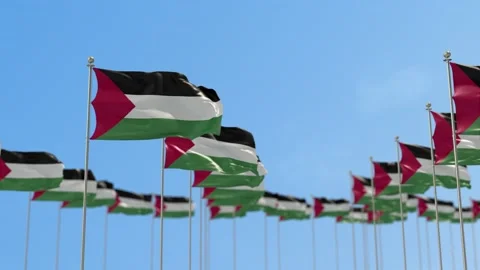 Palestine Row Of Flags Animation Stock-Footage 148776672