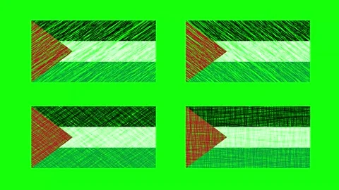 Palestine Scribble Animation on Green Screen Background. Looping seamless a.. Stock Footage 228083670