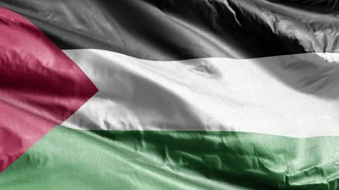 Palestine textile flag waving on the wind loop. Palestinian banner swaying on Stock Footage 169679653