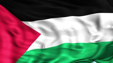 Palestine Waving Flag Background Stock Footage 204135273