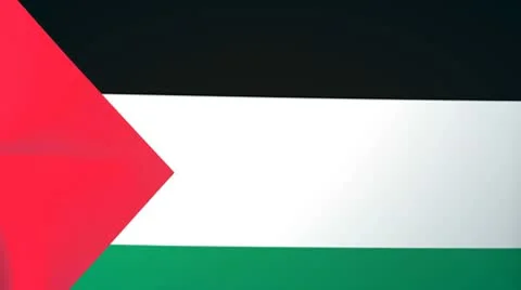 Palestine Waving Flag Stock Footage 10762319