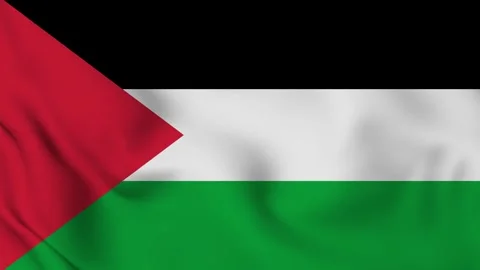 Palestine waving flag	 Video stock 259414631