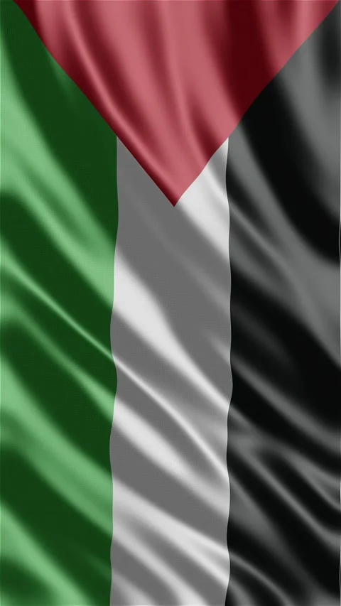Palestine waving flag Stock-Footage 288004249