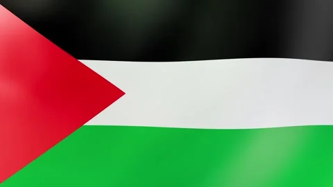 Palestine Waving Flag Stock Footage 297304430