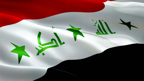 Palestine waving flag. National 3d Palestinian  flag waving. Sign of Palestine Stock Footage 166317137