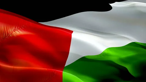 Palestine waving flag. National 3d Palestinian  flag waving. Sign of Palestine Stock Footage 166317736