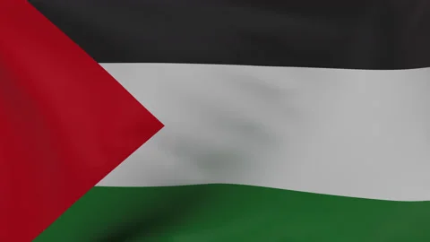 Palestine waving flag seamless loop anim... | Stock Video | Pond5