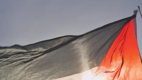 Palestineflag Stock Footage 256579936