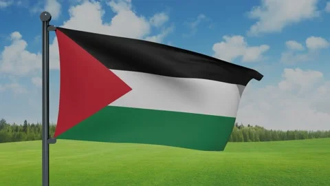 Palestine,State of Flag Stock Footage 153255404