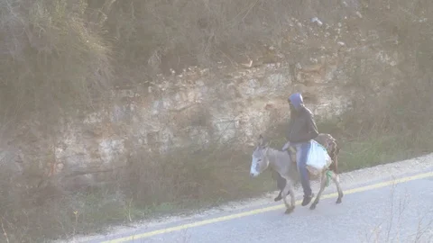 Palestinian boy on Donkey Stockbeeldmateriaal 111136443
