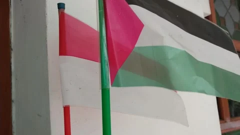 The Palestinian flag and the Indonesian flag side by side Stock Footage 328520573