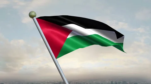 Palestinian Flag Animation 動画素材 40298547