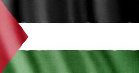Palestinian flag backdrop seamless animation. Video stock 237853604