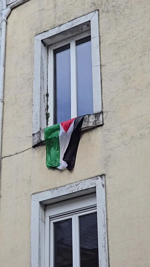 Palestinian Flag Blowing in the Wind from Apartment Window Video stock 319990428