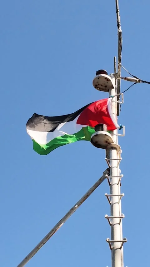 Palestinian flag blowing in wind on boat mast Stock Footage 344070761