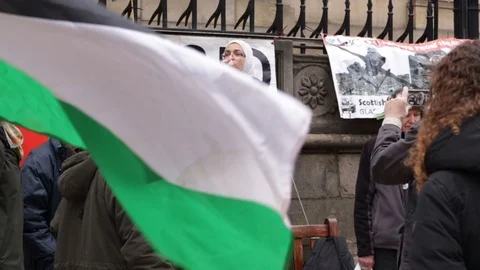 Palestinian flag Flies In Front Of Activist Giving Speech Stock Footage 120206254