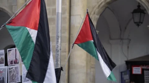 Palestinian flag fluttering Stock Footage 273121810