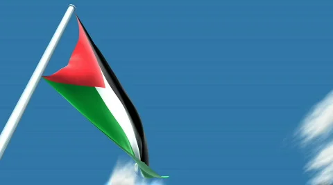 Palestinian flag Stock Footage 351466