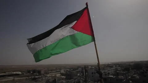 Palestinian flag Stock Footage 148617470