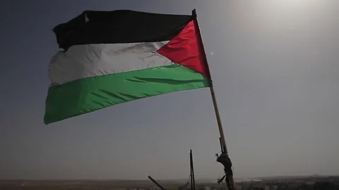 Palestinian flag Stock Footage 148617511