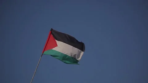 Palestinian flag Stock Footage 148619002