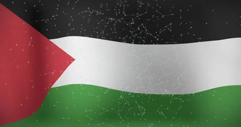 Palestinian flag with network of connections and data processing animation Video stock 305205289