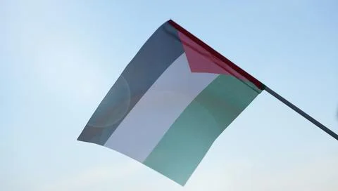 Palestinian flag. Stock Photos
