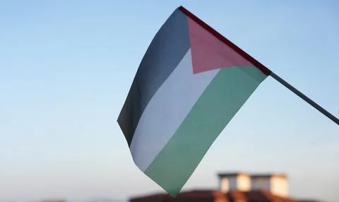Palestinian flag. Stock Photos