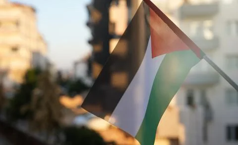 Palestinian flag. 스톡 사진