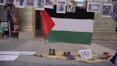 Palestinian flag in a public protest Stock Footage 273121682