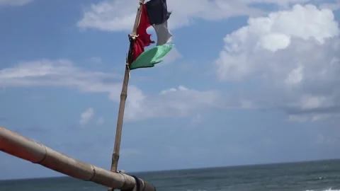 Palestinian flag torn by storm winds Vídeo Stock 346401475