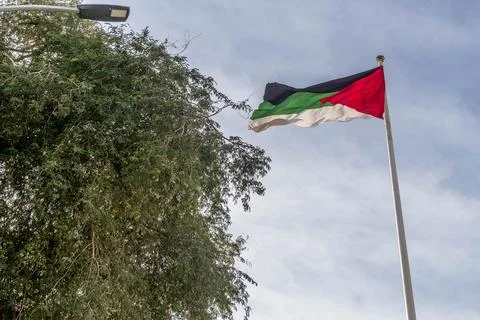 Palestinian flag waves above trees in Gaza, Middle East Foto stock