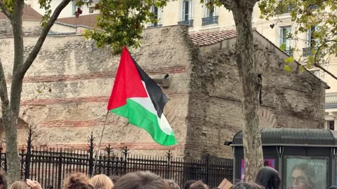 Palestinian Flag Waves at Paris Protest Stock Footage 347961664