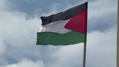 A Palestinian flag waving in the wind against a blue cloudy sky. Stock Footage 332370316